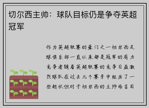 切尔西主帅：球队目标仍是争夺英超冠军